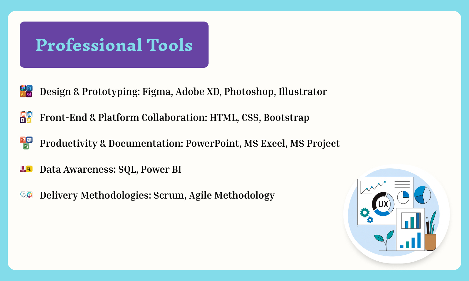 My Professional Skills